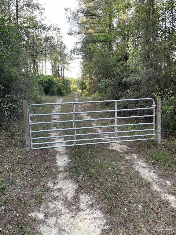 Picture 7