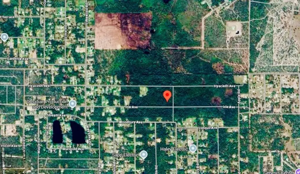Picture 5