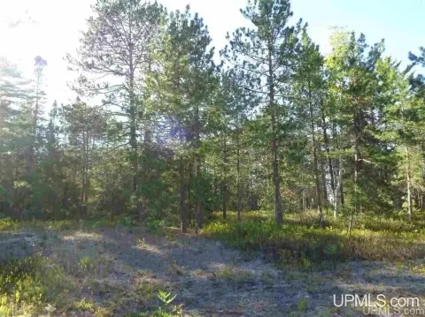 Lake Linden Vacant Land Available