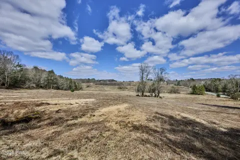56+ Acres of Open Pasture