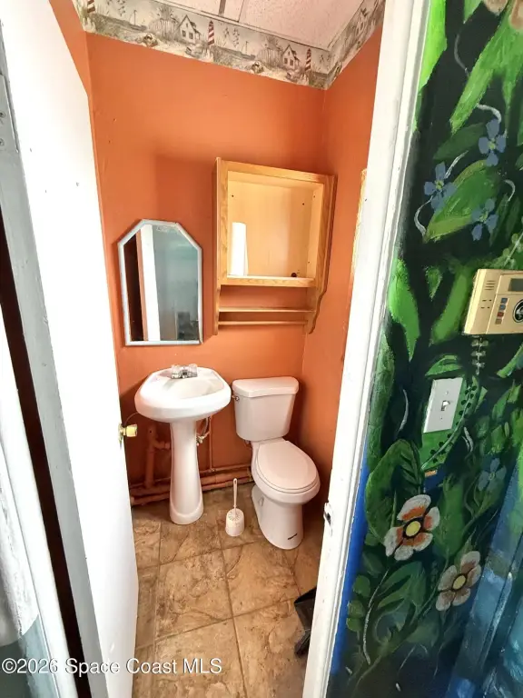 Picture 8