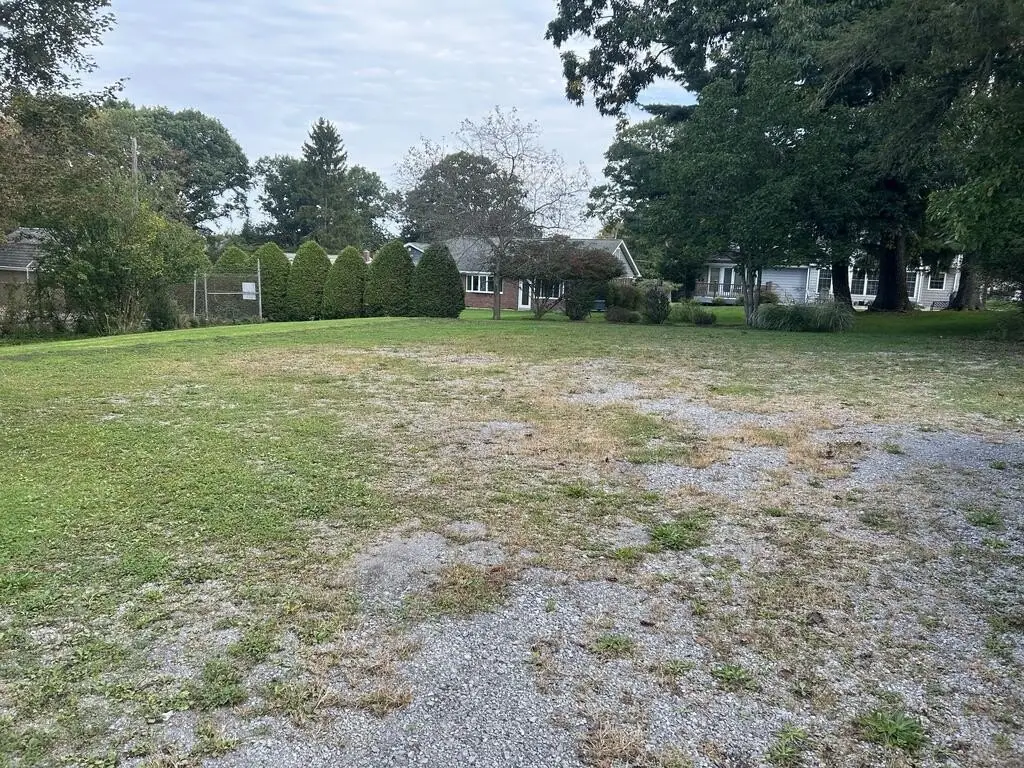 Picture 25