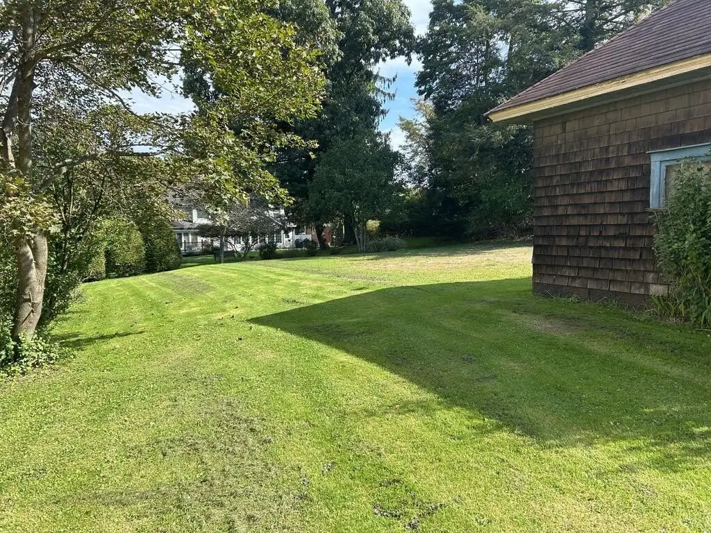 Picture 24