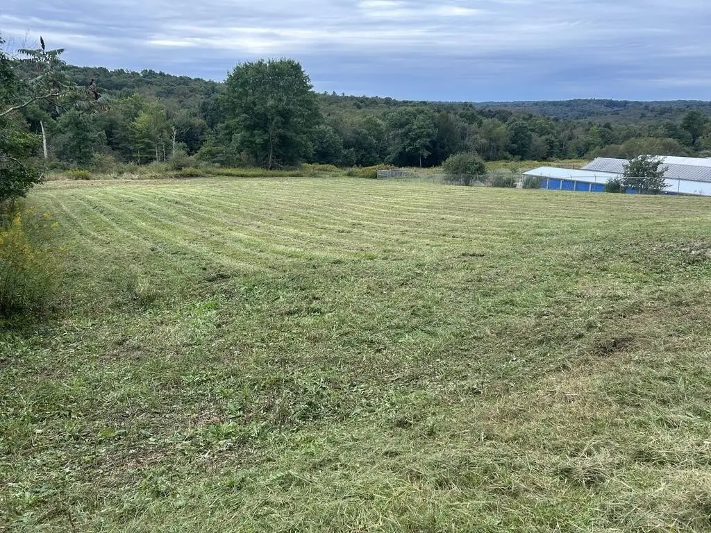Picture 3
