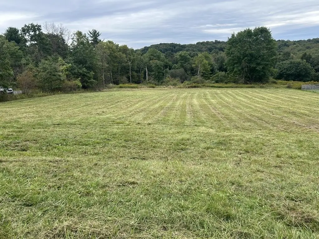 Picture 6
