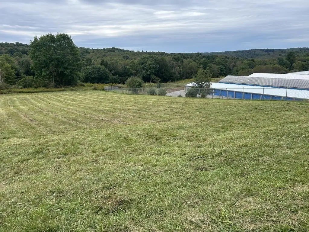 Picture 4