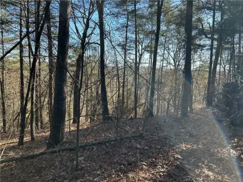 40-Acre Habersham County Land