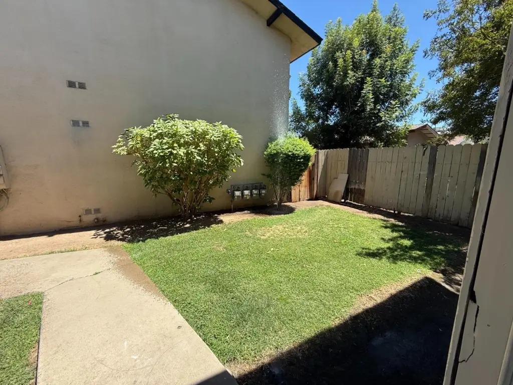 Picture 19