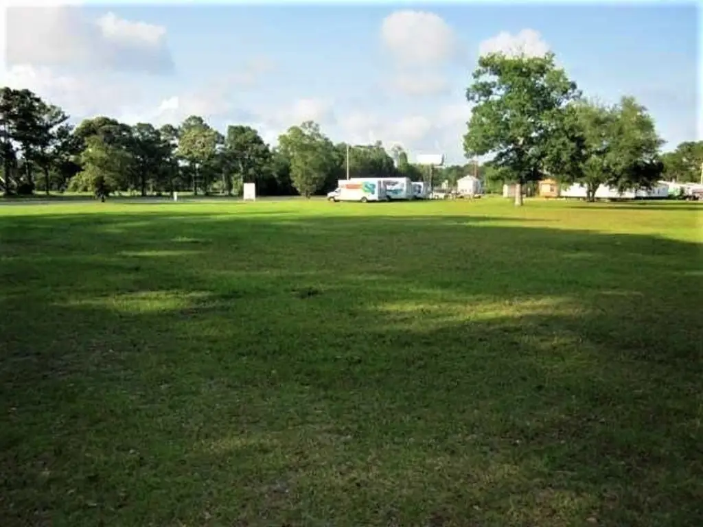 Picture 7