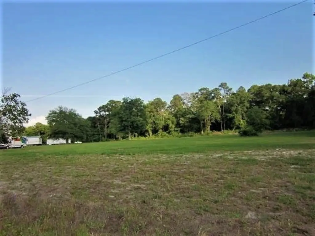 Picture 11