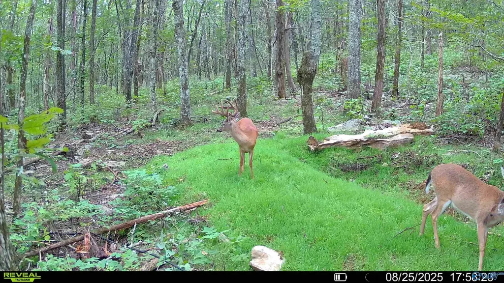 Picture 2
