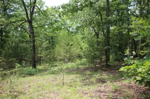 Secluded Land Near Bull Shoals