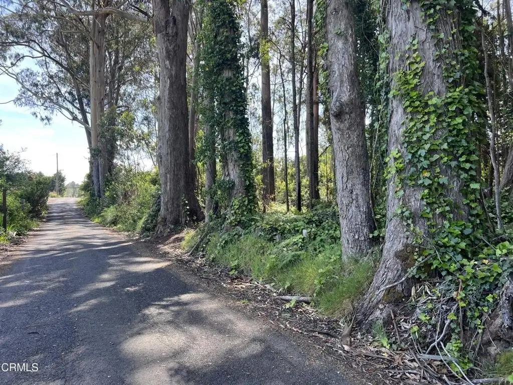 Picture 16