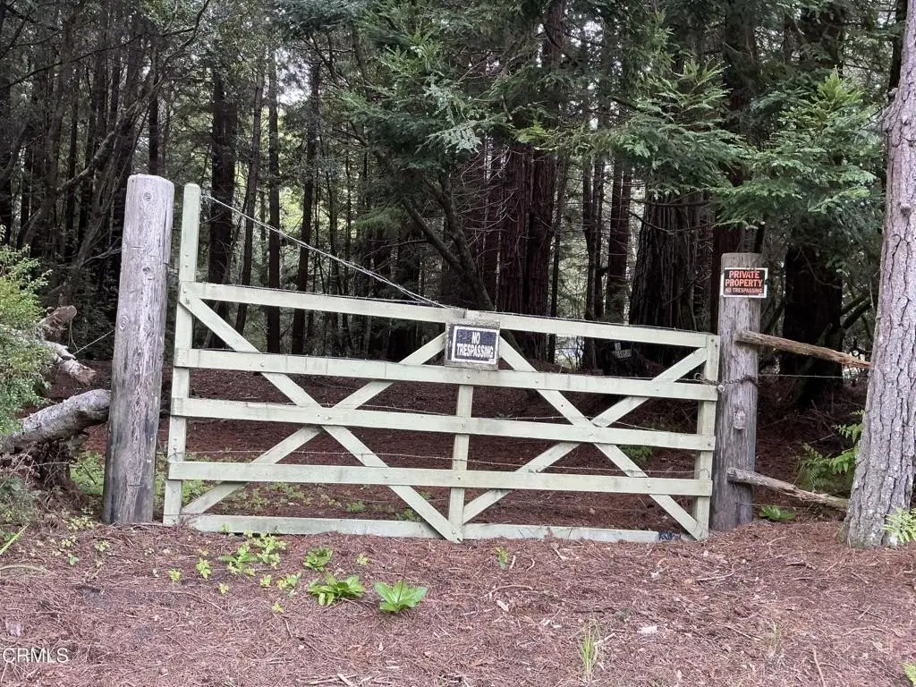 Picture 3