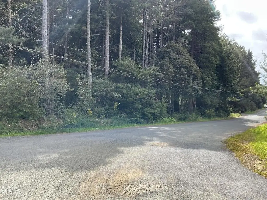 Picture 21