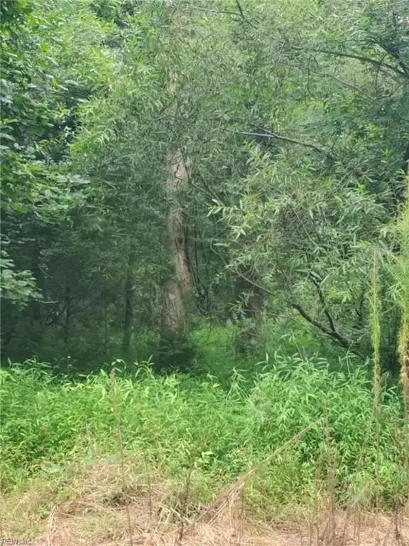 Picture 2