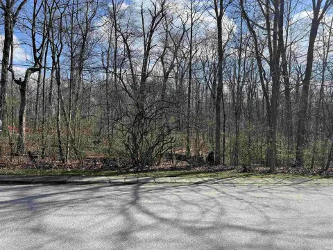 Wooded Residential Lot Near I-69