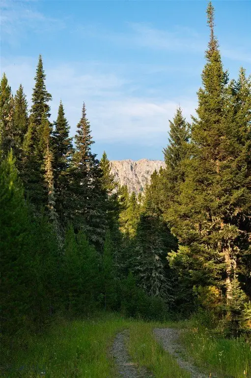 Picture 16