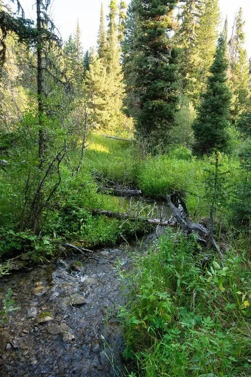 Picture 18
