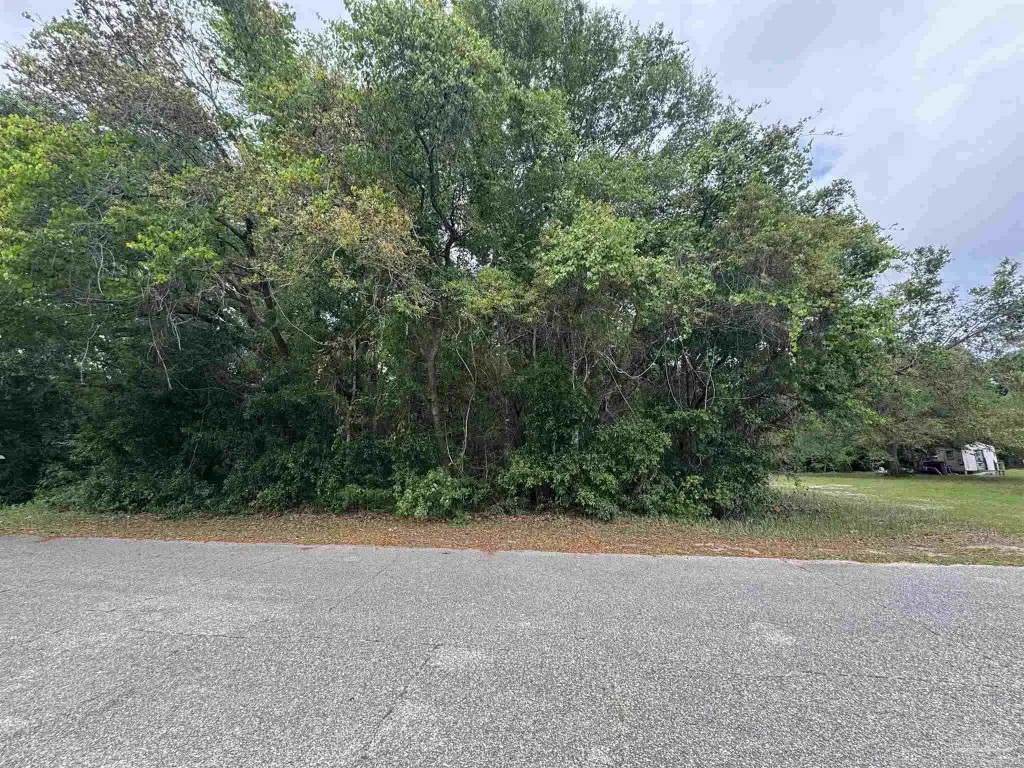 Picture 6