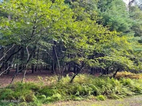 Residential Land in Dingmans Ferry