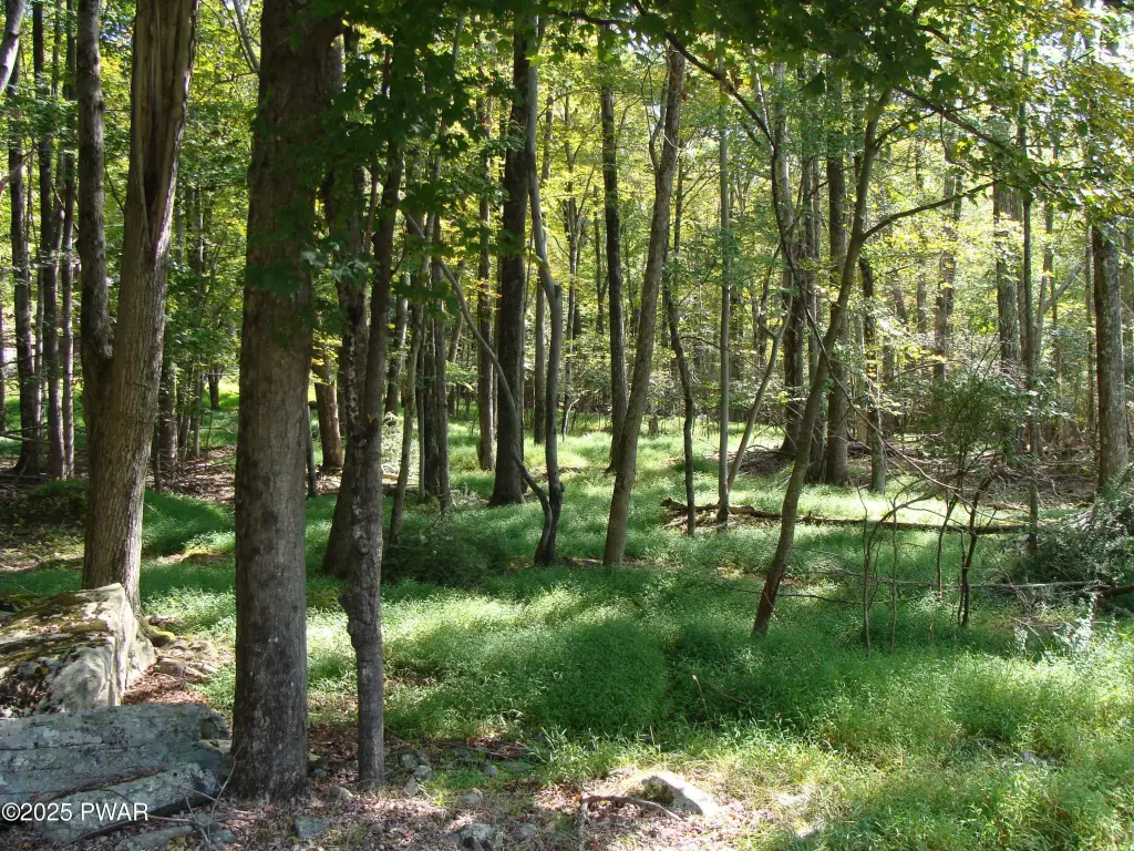 Picture 4