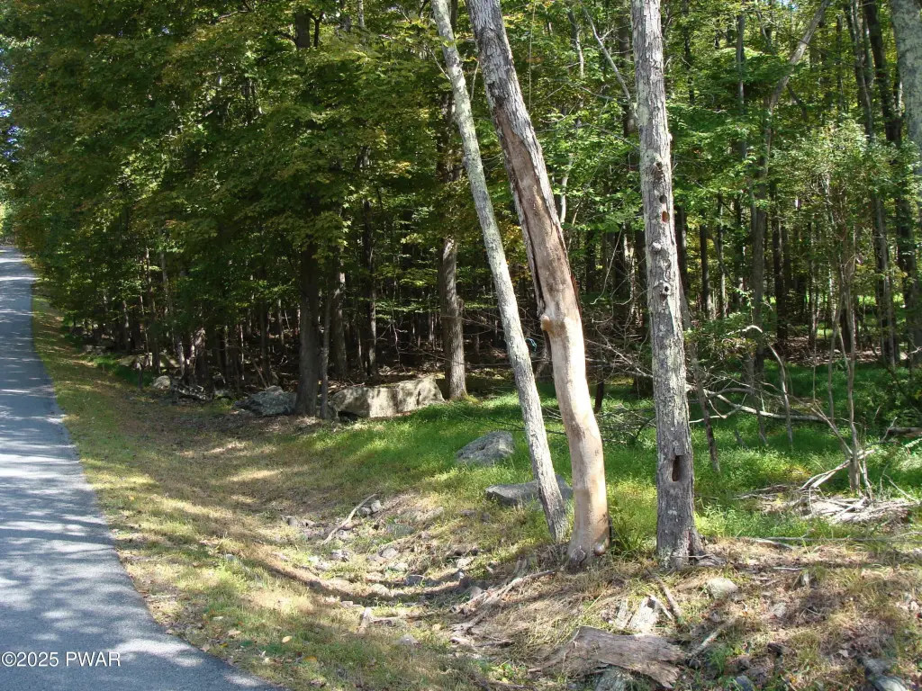 Picture 3