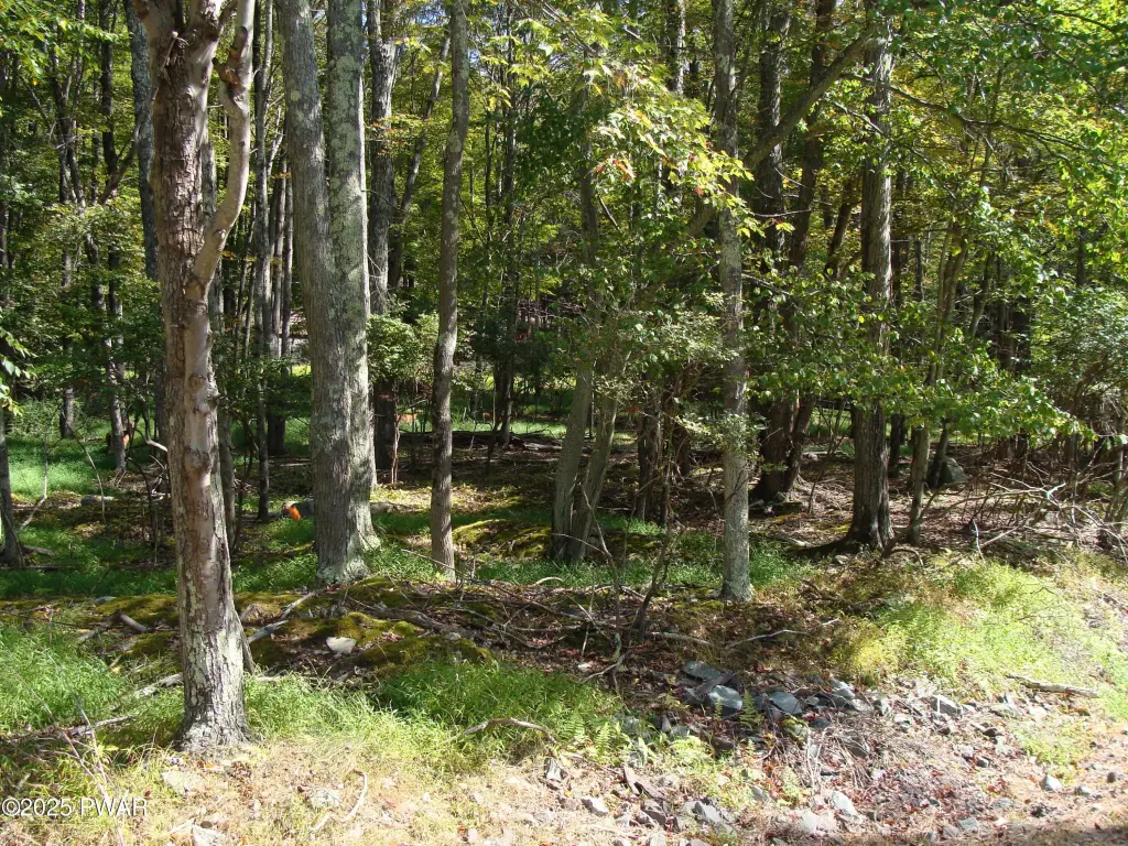 Picture 6