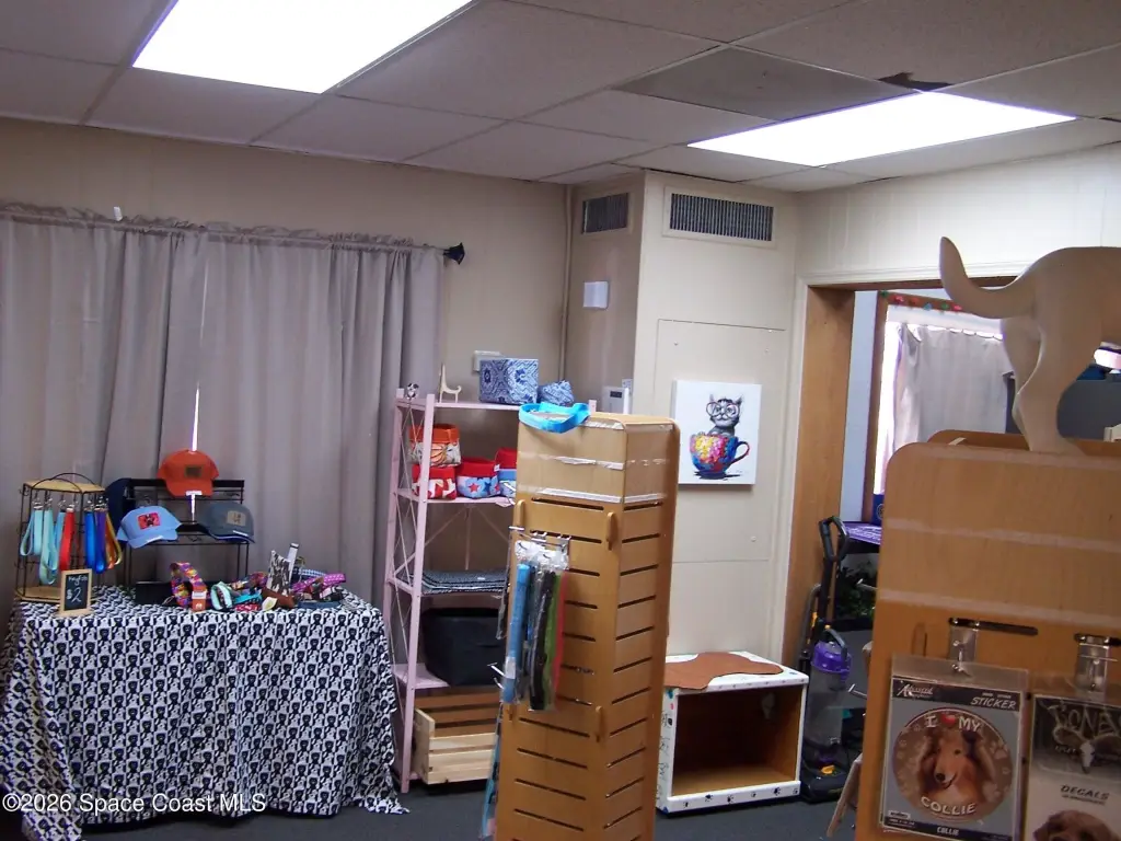 Picture 12
