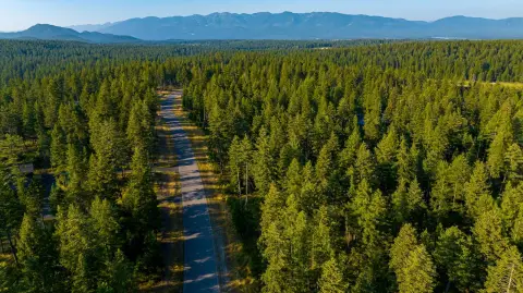 Wooded Homesite in Whitefish Hills