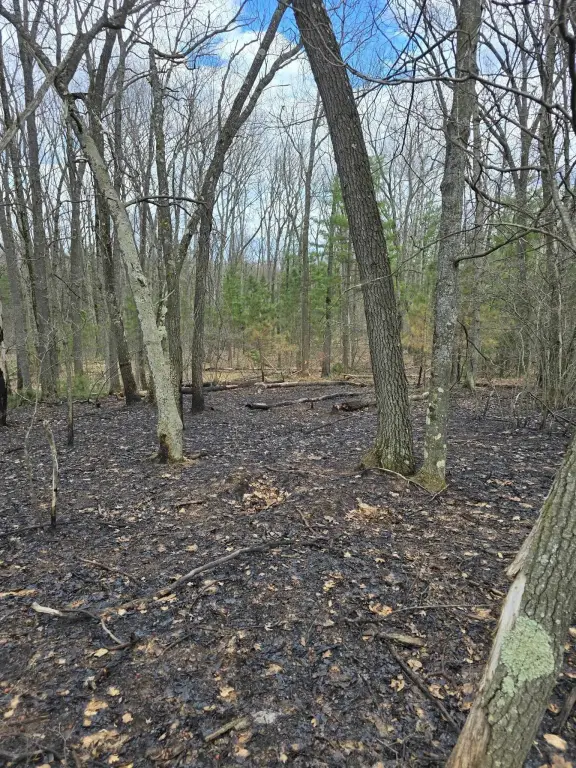 Picture 14