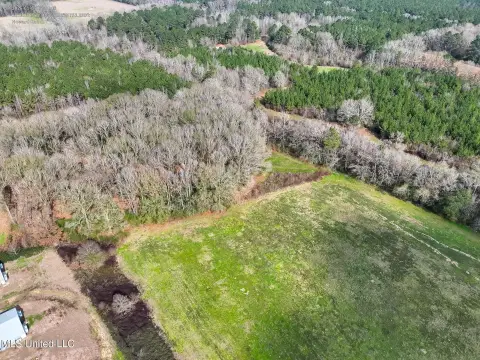 34 Acres in Amite County