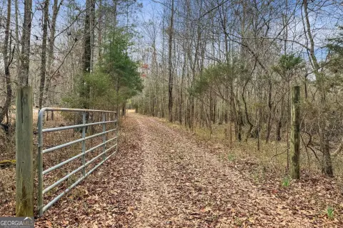 Wooded Acreage in Pike County