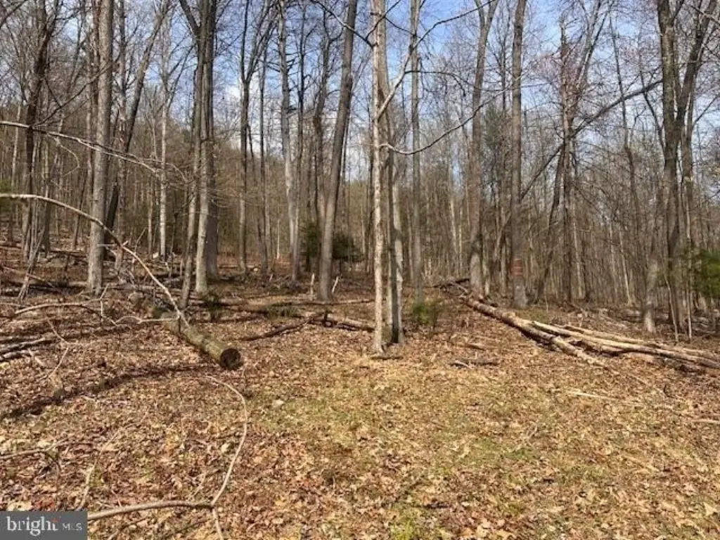 Picture 11