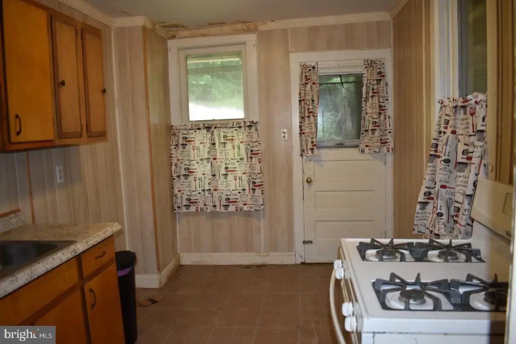 Picture 16