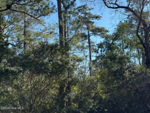 Wooded Land in Richlands, NC