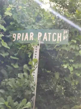 Townsend, GA Acreage for Sale