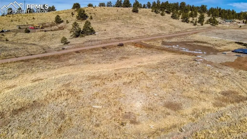 Picture 11