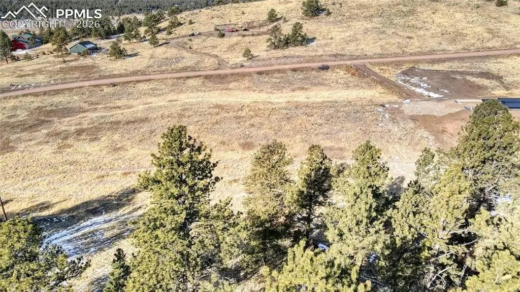 Picture 12
