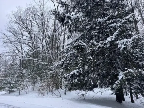 Land Near Recreation Trails