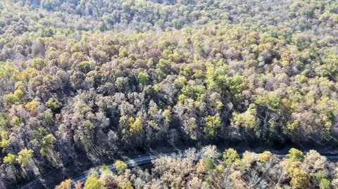 Rare Land Parcel Near Park