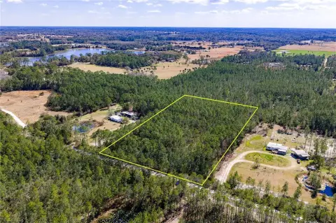 Untouched Wooded Land in De Leon
