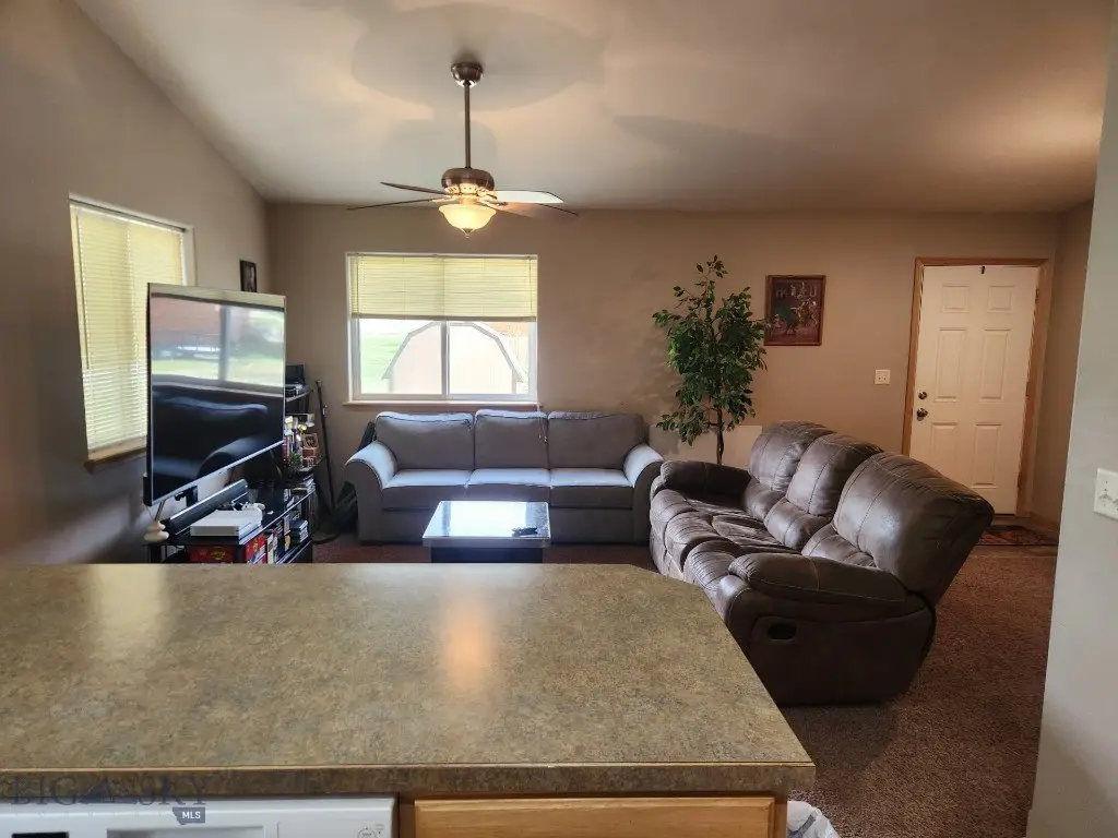 Picture 5