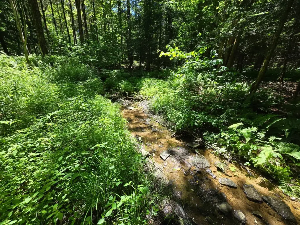 Picture 13