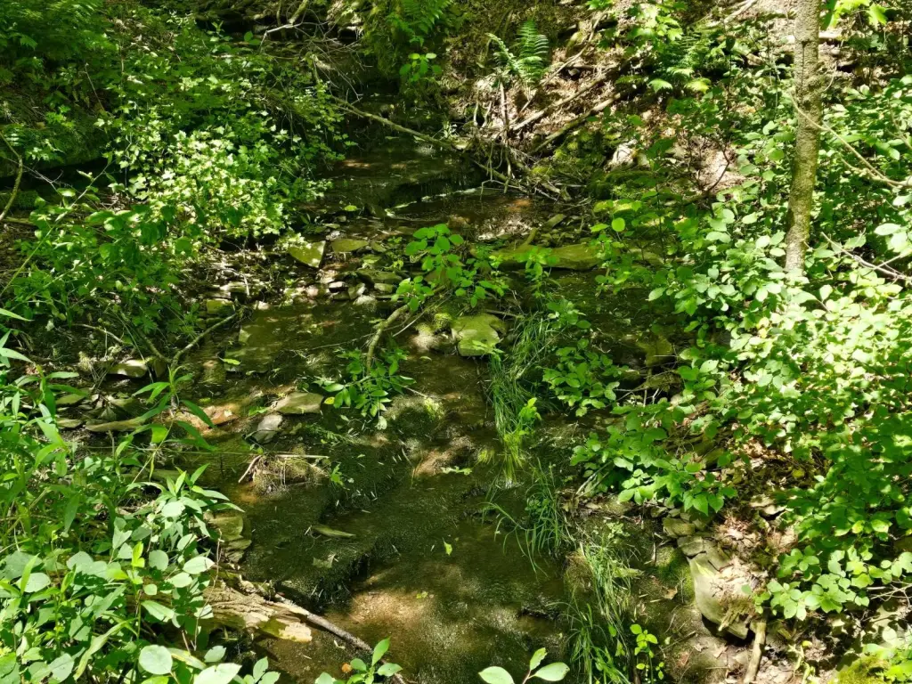 Picture 6