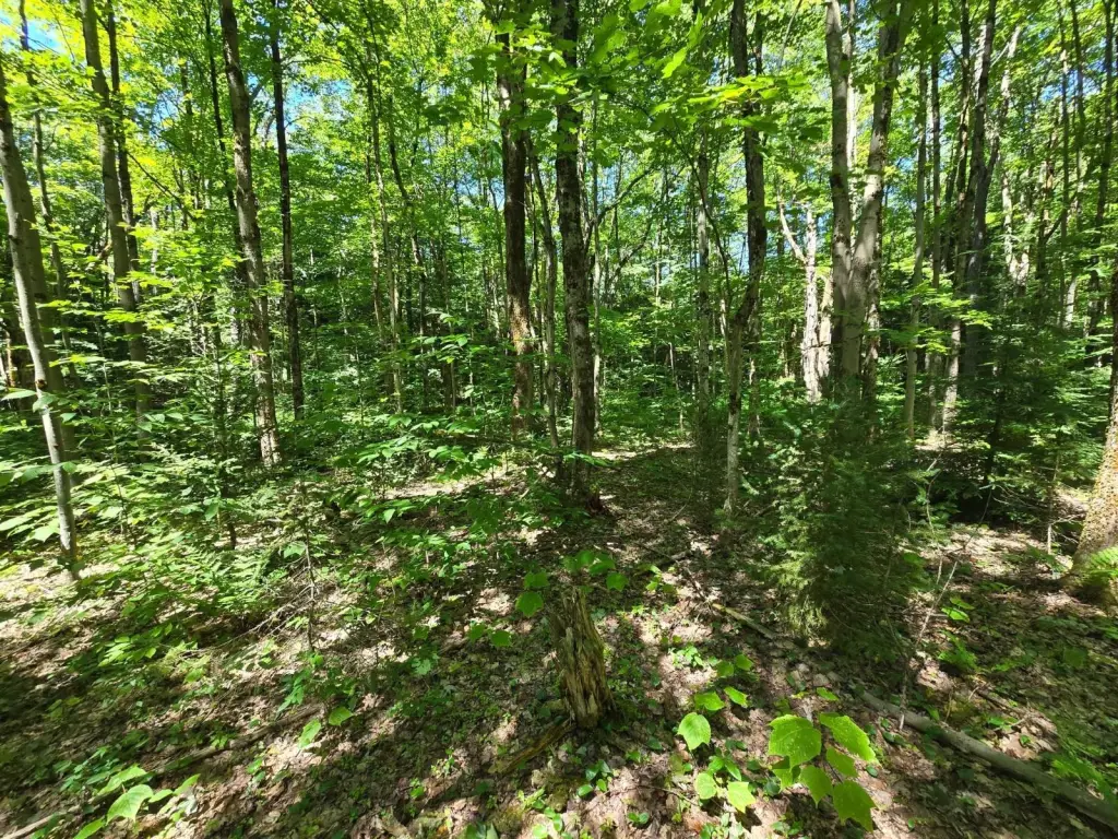 Picture 11