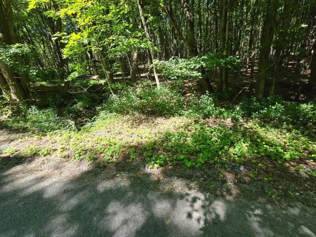 Picture 24