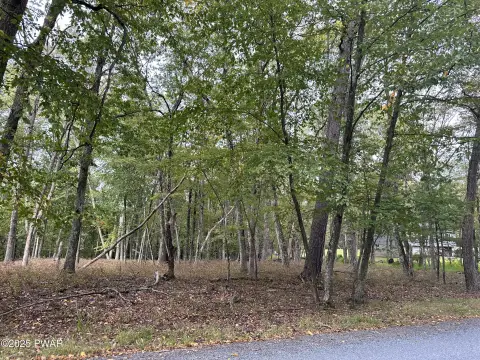 Pocono Mountain Vacant Land