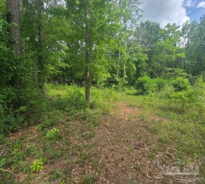 Picture 20
