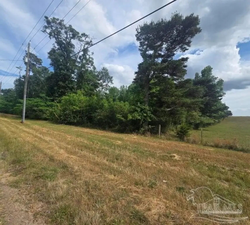 Picture 23